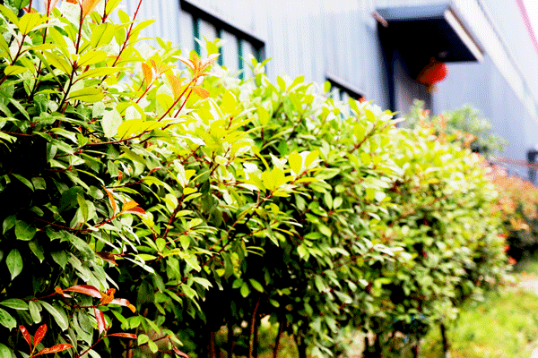 天然居硅藻泥第22期營銷培訓圓滿結(jié)業(yè) 天然居硅藻泥第22期營銷培訓圓滿結(jié)業(yè)